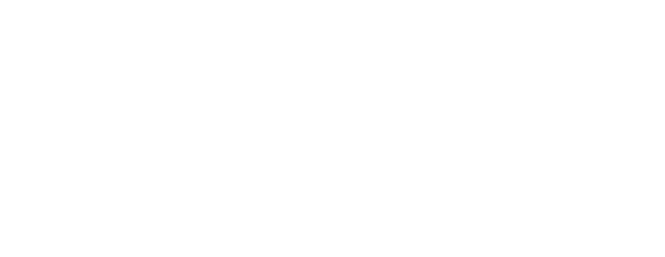Intrinsic logo White Large